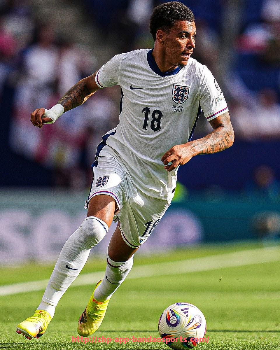 半岛体育app-意甲联赛中球迷最喜爱的球队排名及背后原因探讨