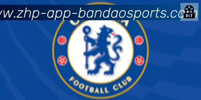 半岛体育app合作伙伴