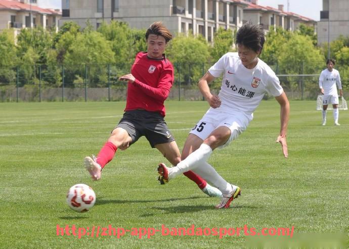 半岛体育app-意甲联赛中球迷最喜爱的球队排名及背后原因探讨